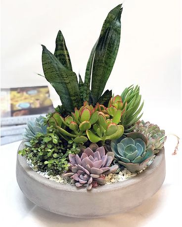 Contemporary Succulent Garden Flower Arrangement