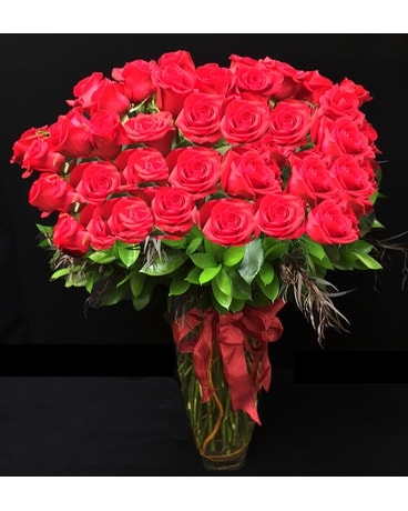 48 Classic Roses Arranged in La Jolla CA - Adelaide's