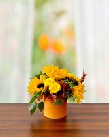 Fall Sunset size, 10 inches height and 10 inches wide.