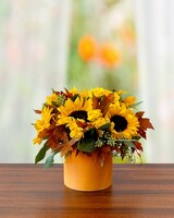 Fall Sunset - Dlx size, 12 inches height and 12 inches wide.