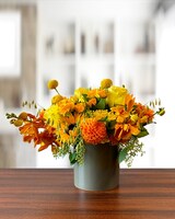 Golden Days - Deluxe size, 14 inches height and 16 inches wide.