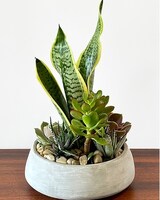 Standard size, 12 inches height and 9 inches wide.