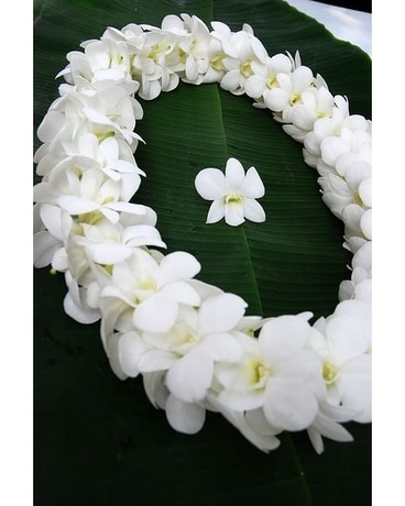 WHITE ORCHID LEI CAL POLY  SOLD OUT UNTIL JUNE 1ST Flower Arrangement