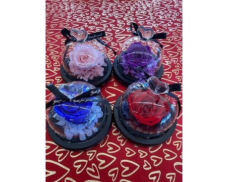 Preserved Rose with lights Gifts