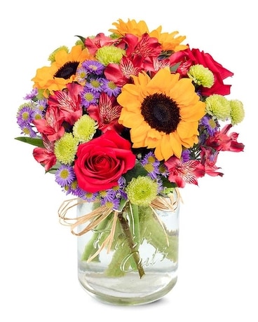Bloom Sunflower Flowers