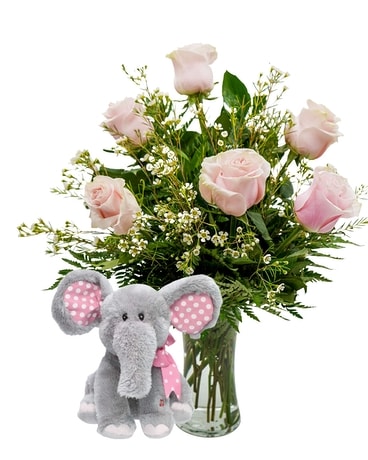 Welcome Baby Girl Bundle Flower Arrangement