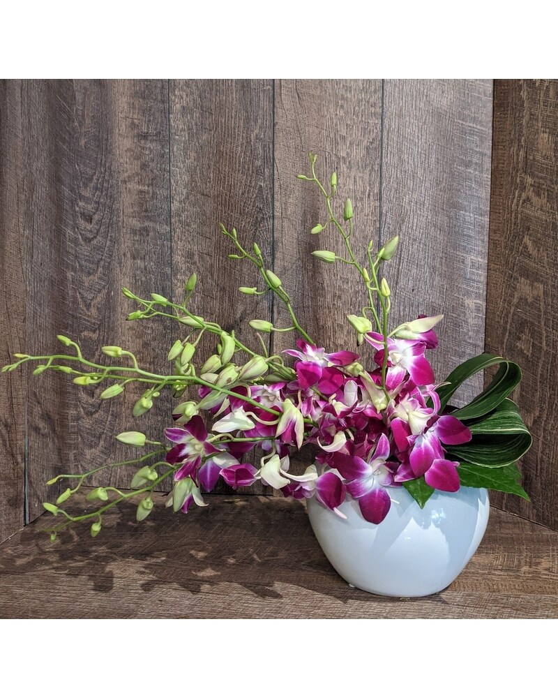 Dendrobium Orchid vase in San Diego CA - Timeless Blossoms Dendrobium Orchid vase in San Diego CA - Timeless Blossoms