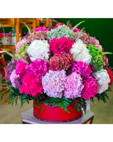 Love my Hydrangea Custom product