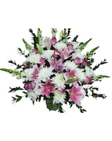 MINI size, 20 inches height and 20 inches wide.