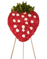 MINI size, 32 inches height and 16 inches wide.