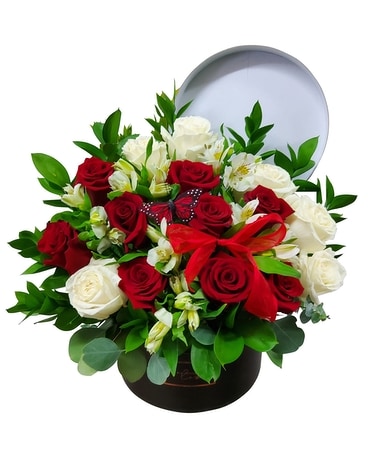 Red Butterfly Roses ~ Box Arrangement Flower Arrangement