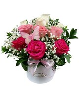 Standard size, 16 inches height and 12 inches wide.