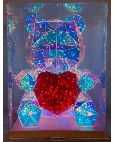 LED Light Up Bear Gifts