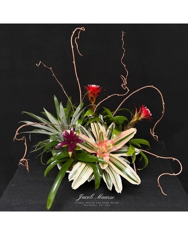 Tropical Delivery Pasadena CA - Jacob Maarse Florist