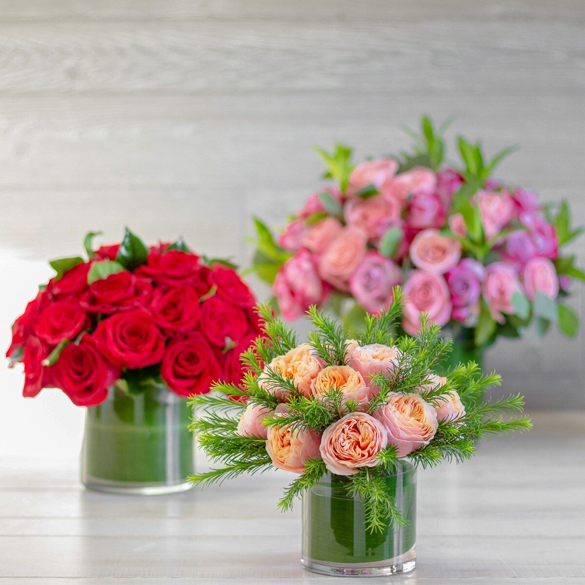 Roses Low & Lush - Double Dozen in Greenwich CT - McArdle's Floral