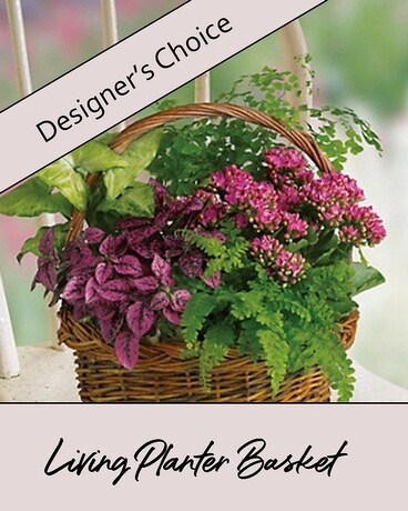 Designer's Choice Planter Flower Arrangement