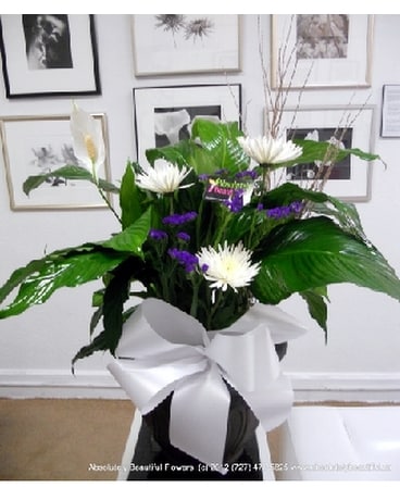 Peace Lily Flower Arrangement