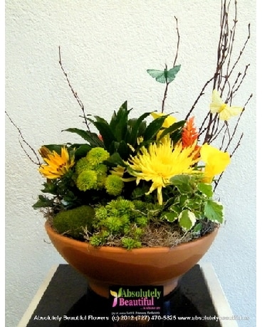 Living Tropical Oasis Exclusive Beyond Ordinary Flower Arrangement