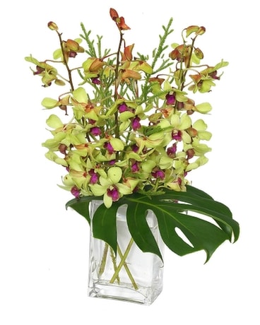 Out of this World Orchid Arrangement Flower Arrangement