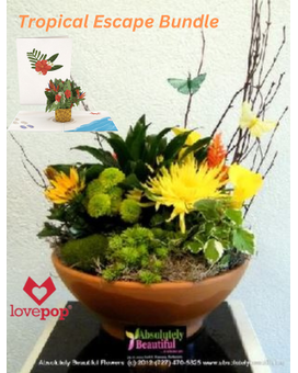 Tropical Escape Bundle Flower Arrangement