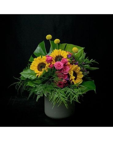 Sunlight in Blooms Flower Arrangement