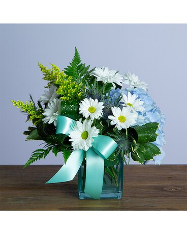 Daisy Baby Flower Arrangement