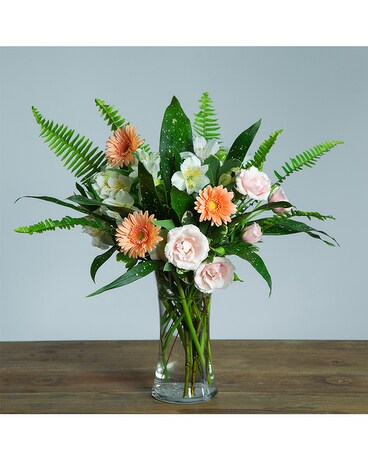 Gerbera Baby Flower Arrangement
