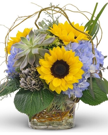 Sunflowers and Succulents Flower Arrangement