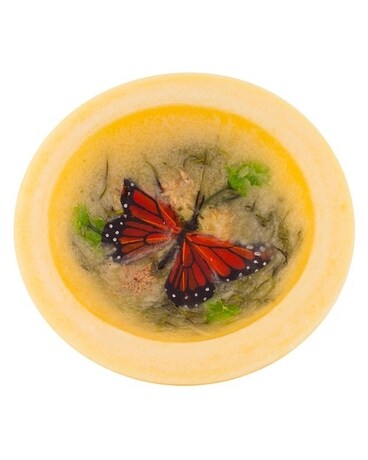 BUTTERFLY GARDEN WAX POTTERY Gifts