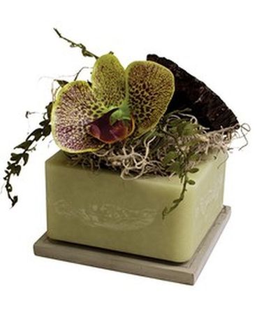 Lotus Blossom & Orchid Flower Arrangement