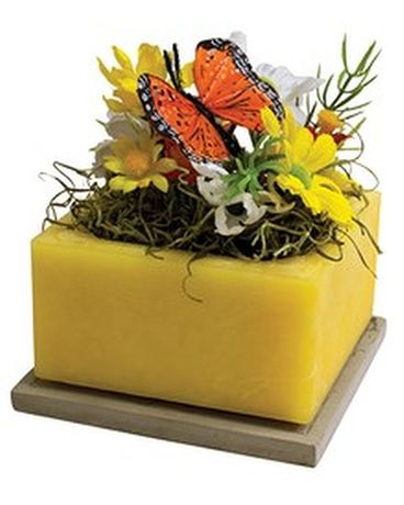 Monarch Migration Gifts