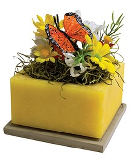 Monarch Migration Gifts