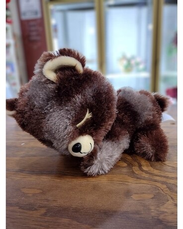 Dark Brown Sleepy Bear Gifts