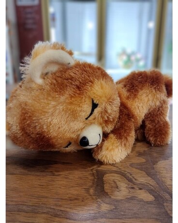 Light Brown Sleepy Bear Gifts