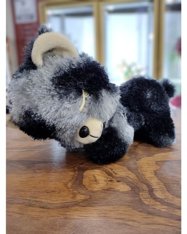 Black Sleepy Bear Gifts