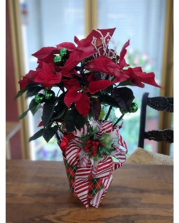 Poinsetta (6inch pot) Plant