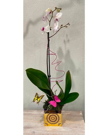 Love Orchids Flower Arrangement