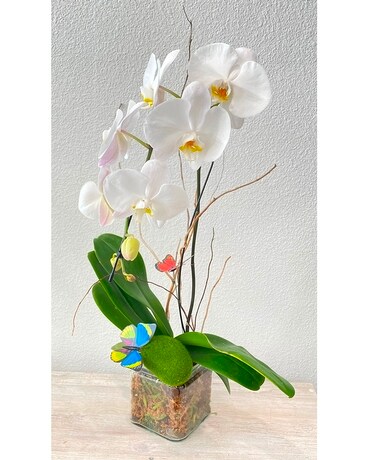 Exotic White Orchids Flower Arrangement