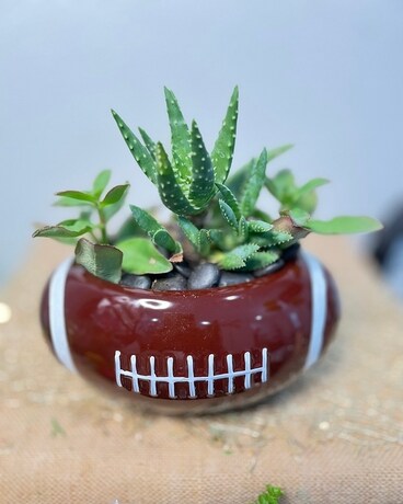Football Planter Flower Arrangement