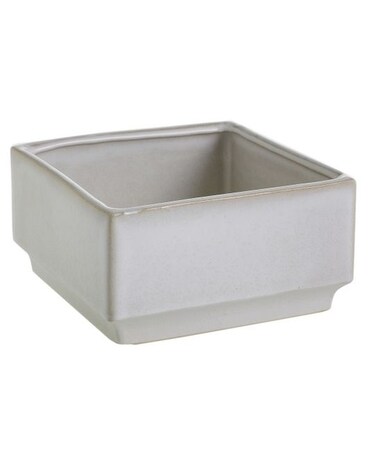 Verge Planter Gifts