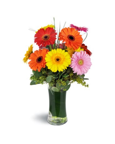 Daisy Rainbow Flower Arrangement