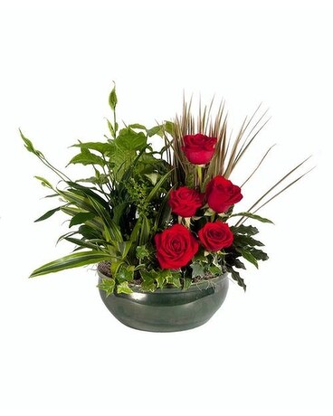 Dish Garden with Roses Flower Arrangement