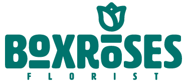 Box-Rose LLC - Logo