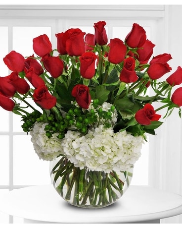 Coast's Luxe Roses & Hydrangea Flowers Flower Arrangement
