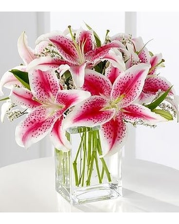 Stargazing Flower Arrangement