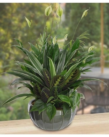 Peace Be With You Flower Arrangement