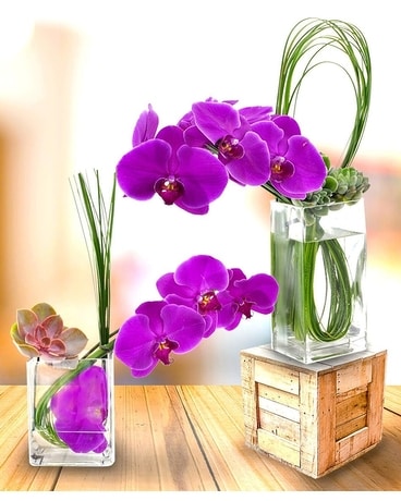 Succulent Orchids Flower Arrangement