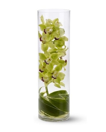Zensational Flowers Flower Arrangement