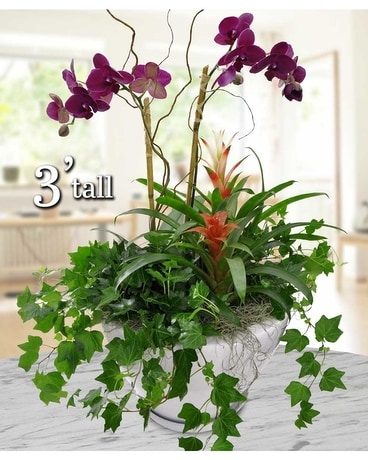 Orchids & Ivy Garden Flower Arrangement