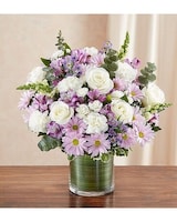 Deluxe size,  inches height and  inches wide.